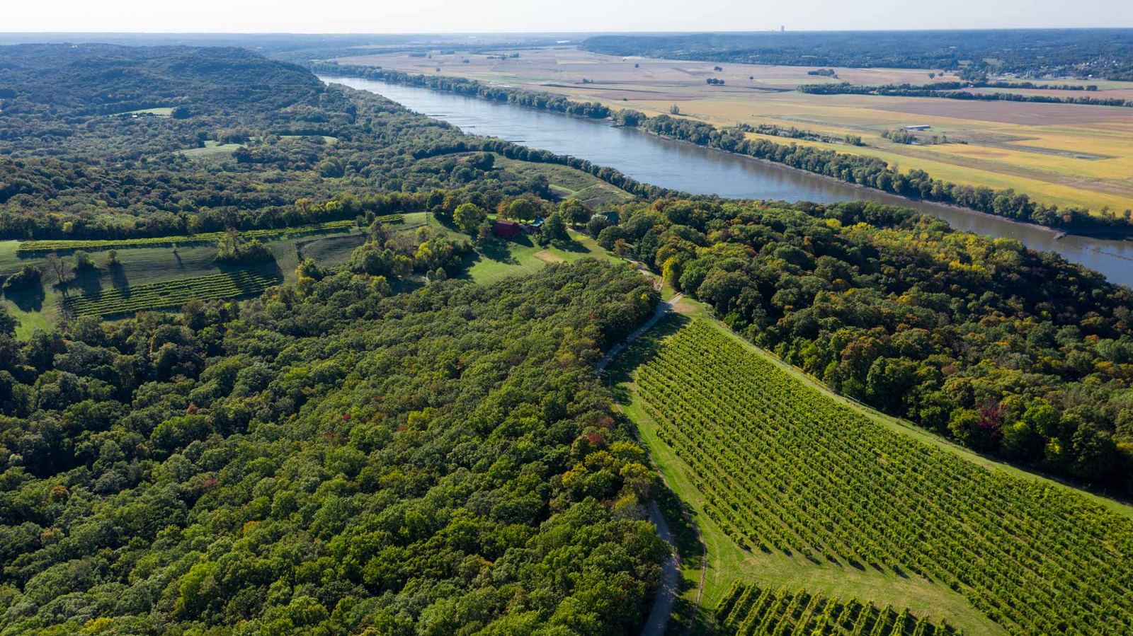 Vineyards above the Missouri River at Stone Hill Winery, Hermann